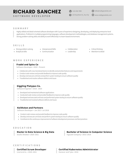 10 Resume Templates Bundle